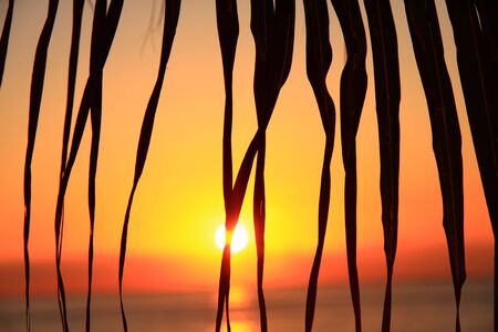 sunrise in the tropicsの写真素材