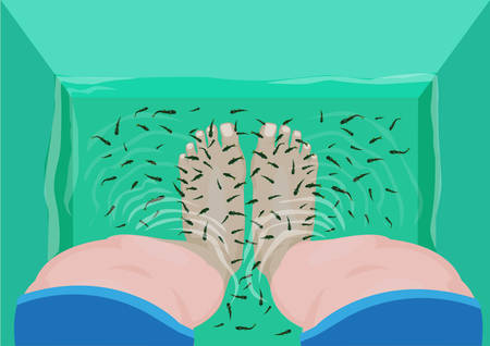 Fish Massage concept. Top View of Feet in a Spa Massage Tub Filled with Doctor Fish or Garra rufa. Editable Clip Art.のイラスト素材