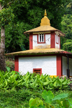 Turmeric Farm and background a small Temple Pokhara Nepal