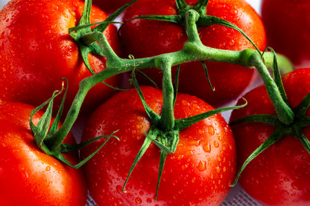 Campari is a type of hybrid tomato noted for its juiciness, high sugar level, low acidity, and lack of mealiness. Camparis are deep red and larger than a pear or cherry tomatoの写真素材