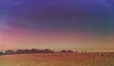 Beautiful landscapeの素材