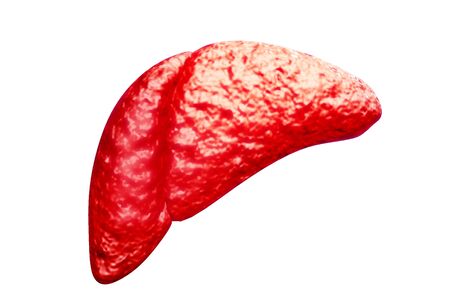 Liver disease.3d renderの写真素材