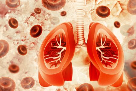 Human lungs on scientific background. 3d illustrationの写真素材