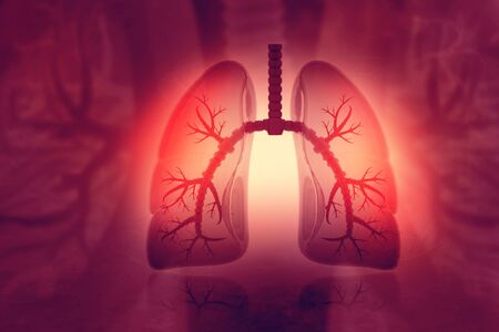 Human lungs on scientific background. 3d illustrationの写真素材