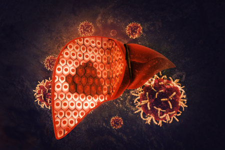 liver cancer.3d illustrationの写真素材