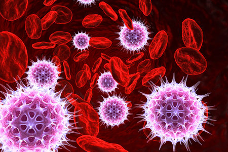 Virus infected blood cells