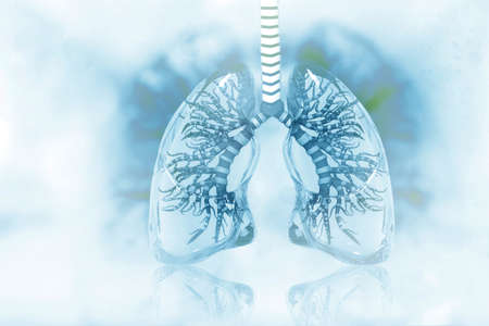 Human lungs on scientific backgroundの写真素材