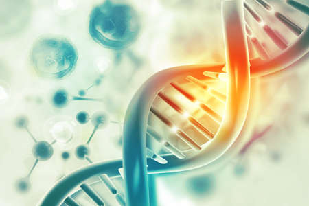 DNA cell on scientific backgroundの写真素材