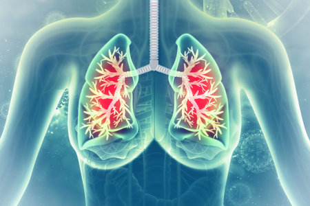 Human lungs on scientific background. 3d illustration