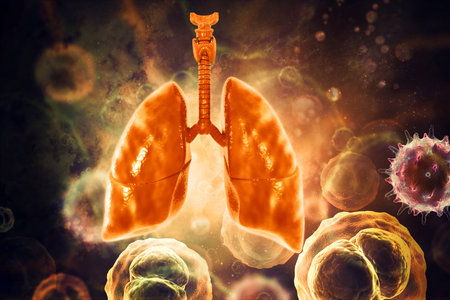 Human lungs on scientific background. 3d illustrationの写真素材