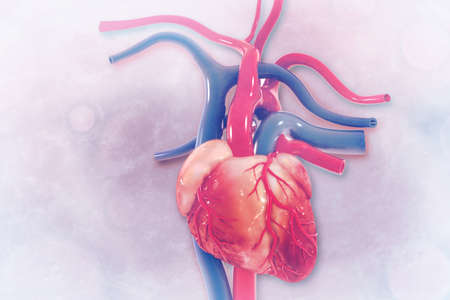 Human heart on scientific background. 3d illustrationの写真素材