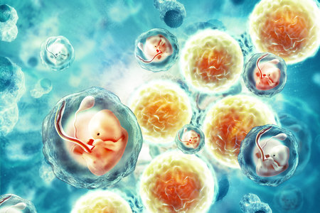 Human fetus on scientific background. 3d illustration