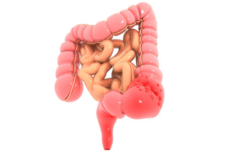 Colon cancer. Cancer attacking cell. Colon disease concept. 3d illustration