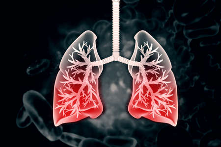 Human lungs on scientific background. 3d illustrationの写真素材