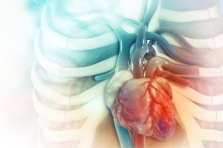 Human heart on scientific background. 3d illustration
