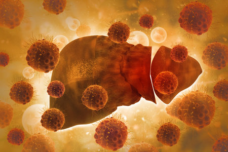 Virus or bacteria infected human liver, liver disease, scientific background