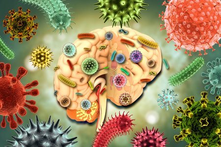 Virus or bacteria attacking the human brain, Viral disease, 3d illustration