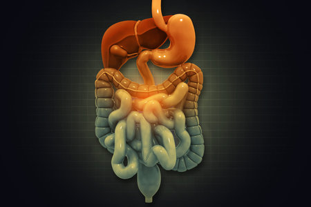 Human digestive system on scientific background. 3d illustration