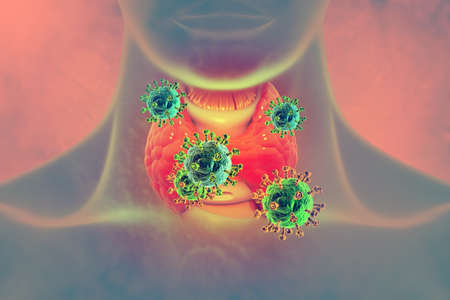 Thyroid gland on scientific background. 3d illustrationの写真素材