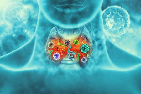Virus infected thyroid gland. 3d illustrationの写真素材