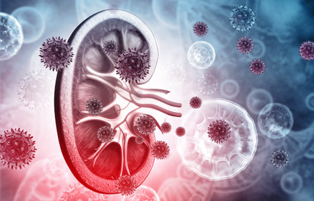 Virus infection of kidney. Kidney disease. 3d illustration