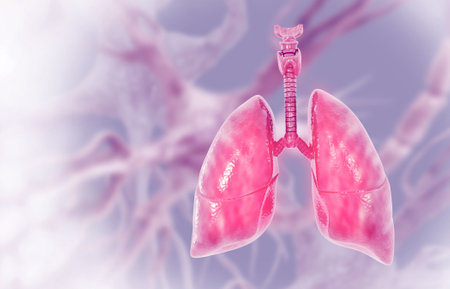 3D illustration of human Lungs on scientific backgroundの写真素材