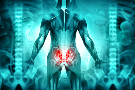 Hip painful skeleton x-ray. Medical concept. 3d illustrationの写真素材