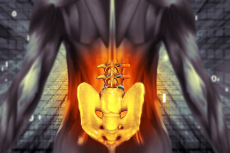 Lower back pain.medically accurate 3d illustration