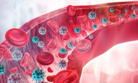 Virus cell infecting the blood stream showing cross section of a vein and human circulatory system. 3d illustrationの写真素材