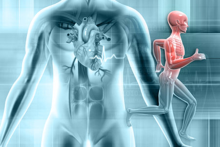 Running man on science background. Medically accurate image. 3d illustrationの写真素材
