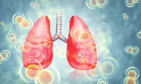 Human lungs on scientific background.3d illustration