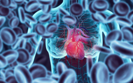 Anatomy of female body with heart. 3d illustrationの写真素材
