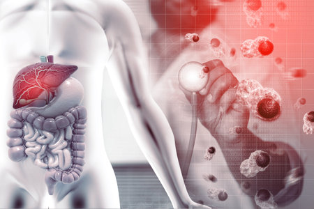 Human digestive system infected by virus and bacteria. Digestive tract or alimentary cana. 3d...