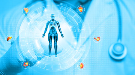 Doctor's hand listens to the anatomy system on digital technology background. 3d illustrationの写真素材