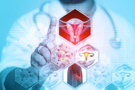 Doctor's hand shows female reproductive system diseases. Uterus cancer and endometrial malignant tumor as a uterine medical concept. 3d illustrationの写真素材