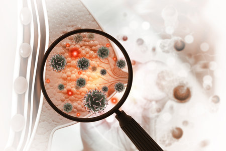 Breast cancer. Female breast anatomy. 3d illustrationの写真素材