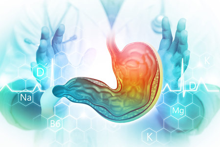 Doctor's hand shows human stomach cross section on medical background. 3d illustration