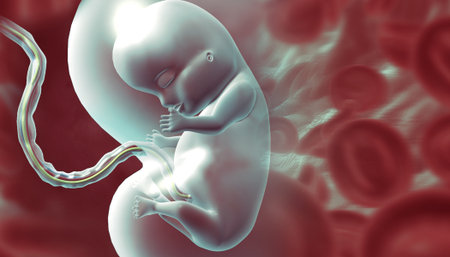 Human fetus on scientific background. 3d illustrationの写真素材
