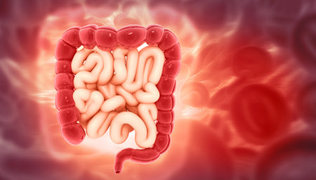 Human digestive system on scientific background. 3d illustration
