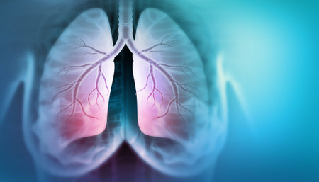 Human Lungs anatomy on scientific background. 3d illustration