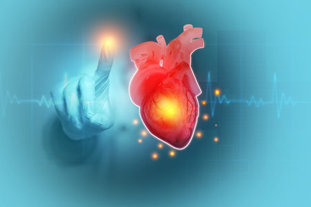 Doctor check and diagnose the human heart. 3d illustration