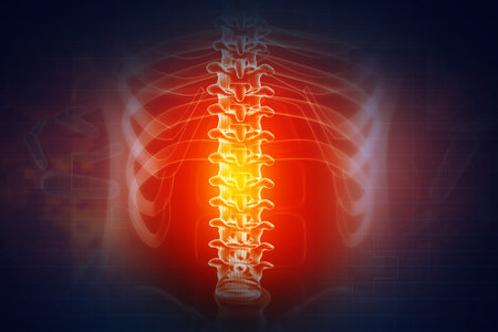 pain in the spine, pain in the back, highlighted in red, x-ray view. 3d illustration