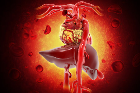 Diseased liver on abstract medical background. 3d illustrationの写真素材