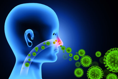 Visual concept of nasal infection. Virus or bacteria infected human respiratory system. 3d illustrationの写真素材