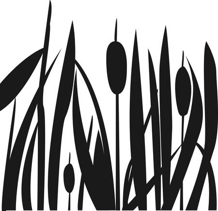 Silhouette of Reed Bush. Vector Illustrationのイラスト素材