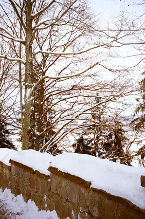 Way to the Neuschwanstein Castle at Bavaria, Germany, Europeの写真素材