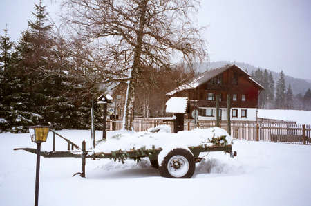 House at Titisee in the southern Black Forest, Baden-Württemberg, Germanyの写真素材