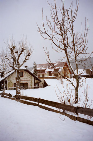 House at Titisee in the southern Black Forest, Baden-Württemberg, Germanyの写真素材