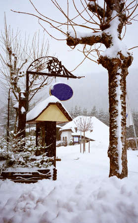 Titisee in the southern Black Forest, Baden-Württemberg, Germanyの写真素材
