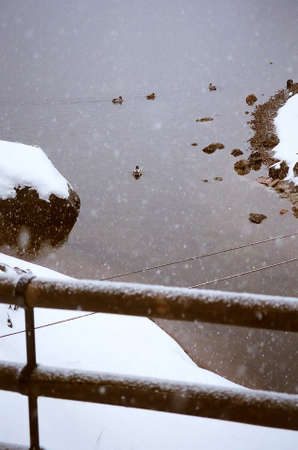 Lake Titisee in the southern Black Forest, Baden-Württemberg, Germanyの写真素材